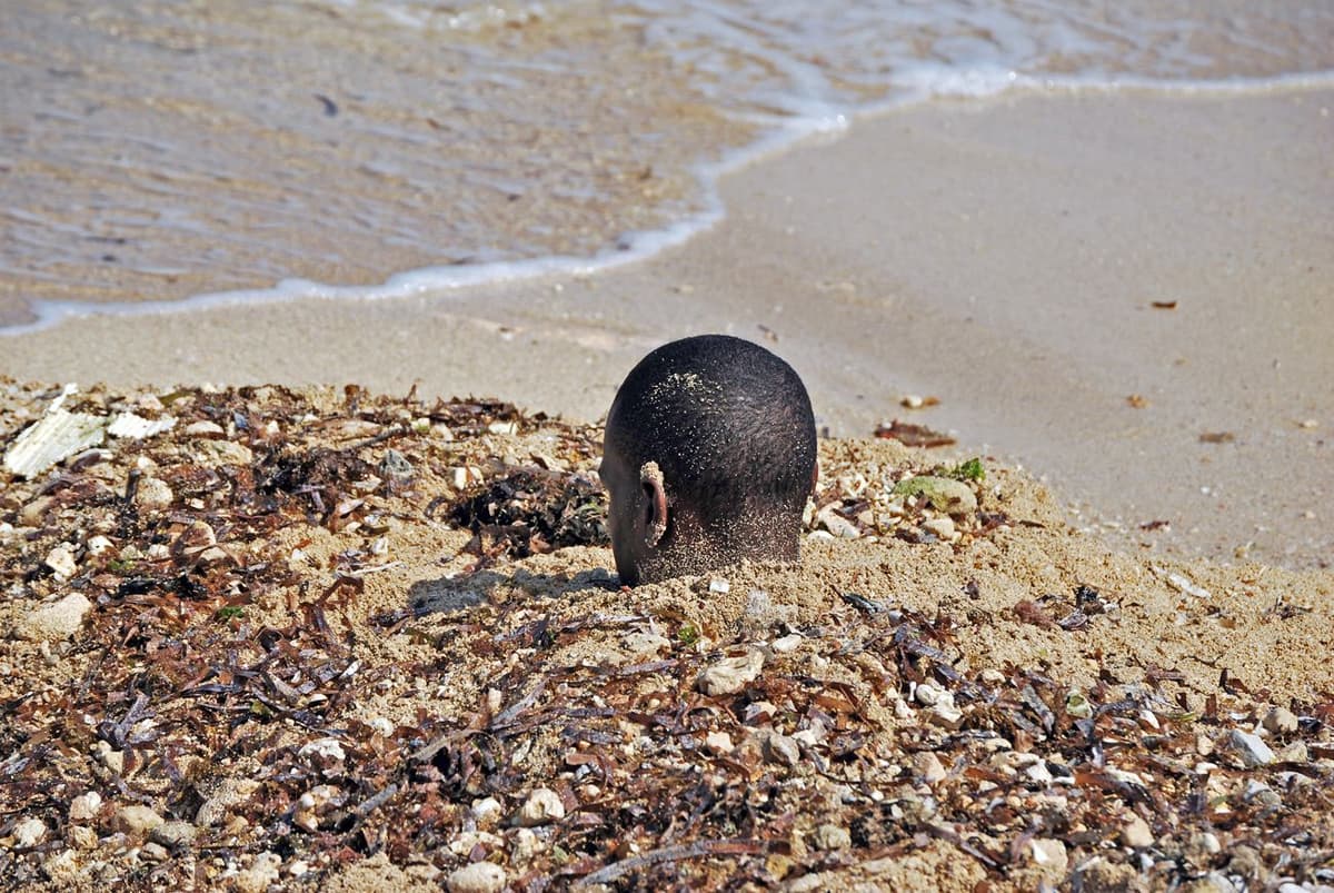 COVER_ Caribe_por_venir.jpg