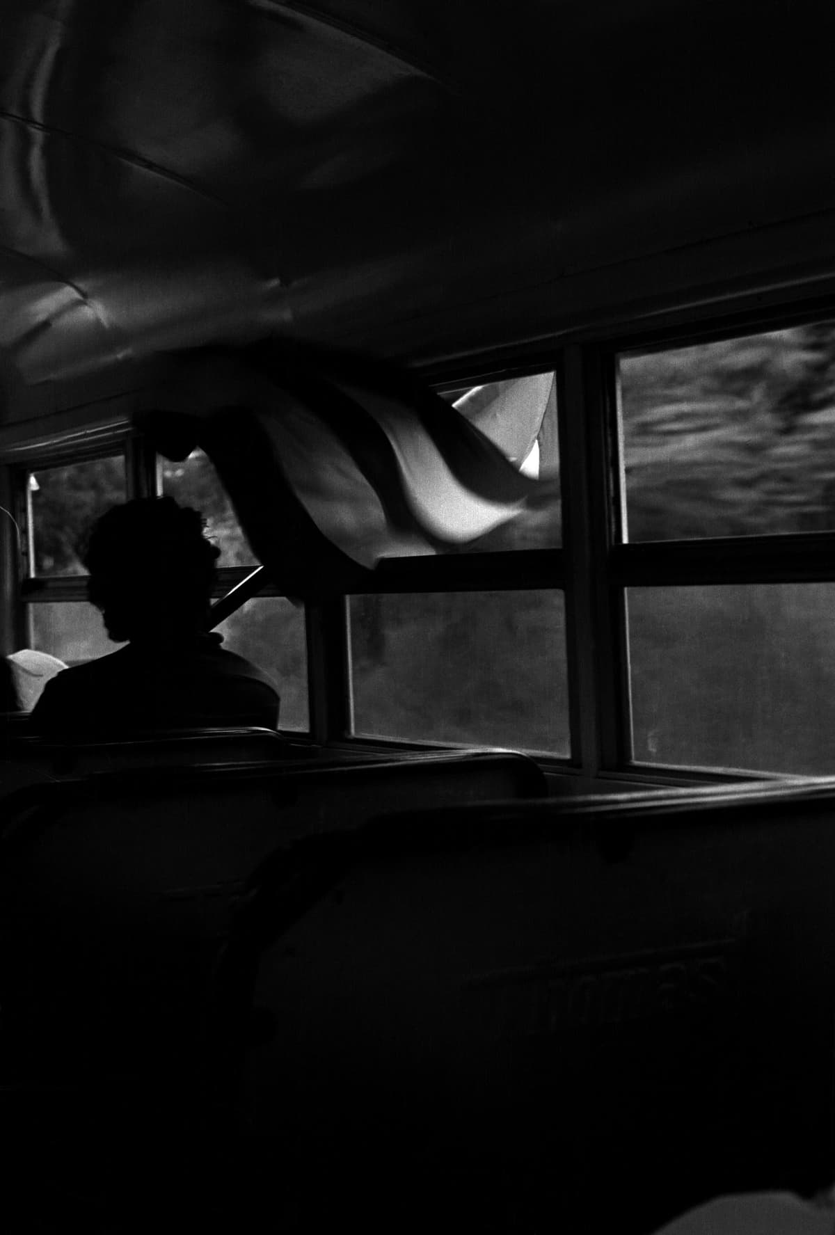 Camino a Lares - Ricardo Alcaraz.jpg
